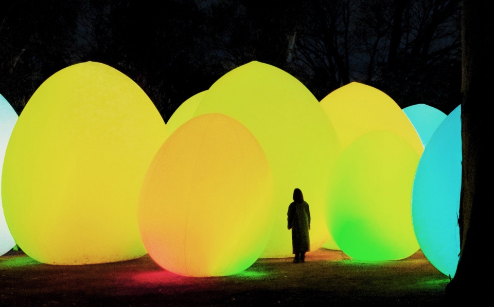forest of autonomous resonating life by teamlab