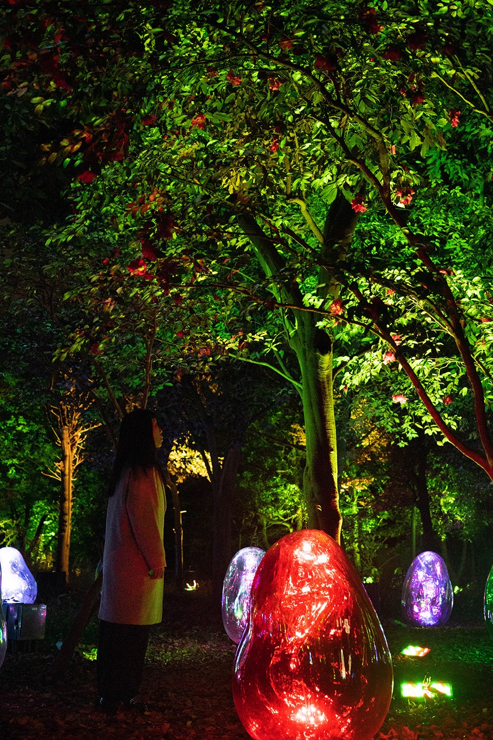 resonating microcosms in the common camellia garden by teamlab