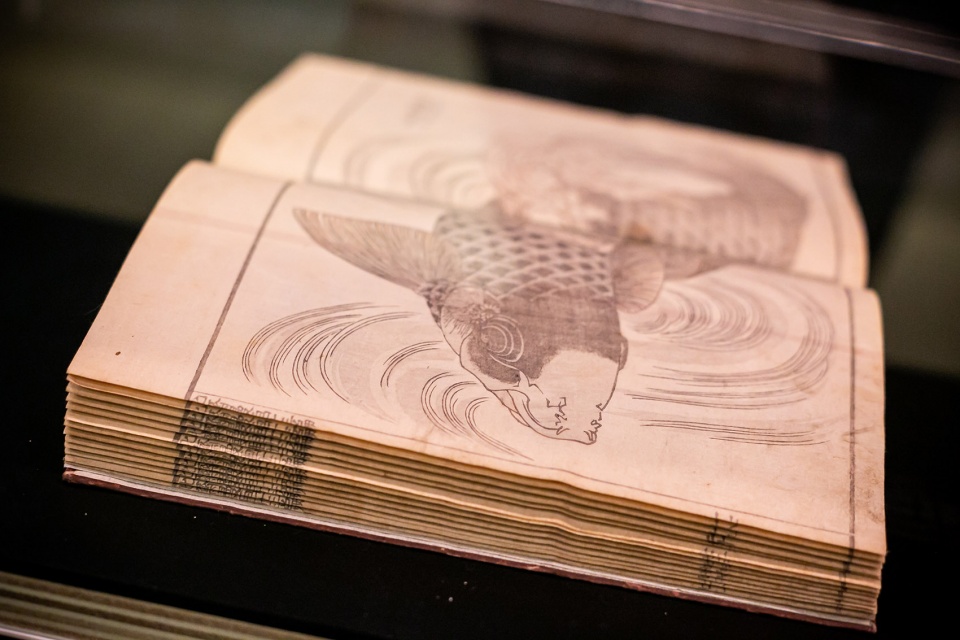tattoo stories on the skin by 120 grammi laboratorio di architettura