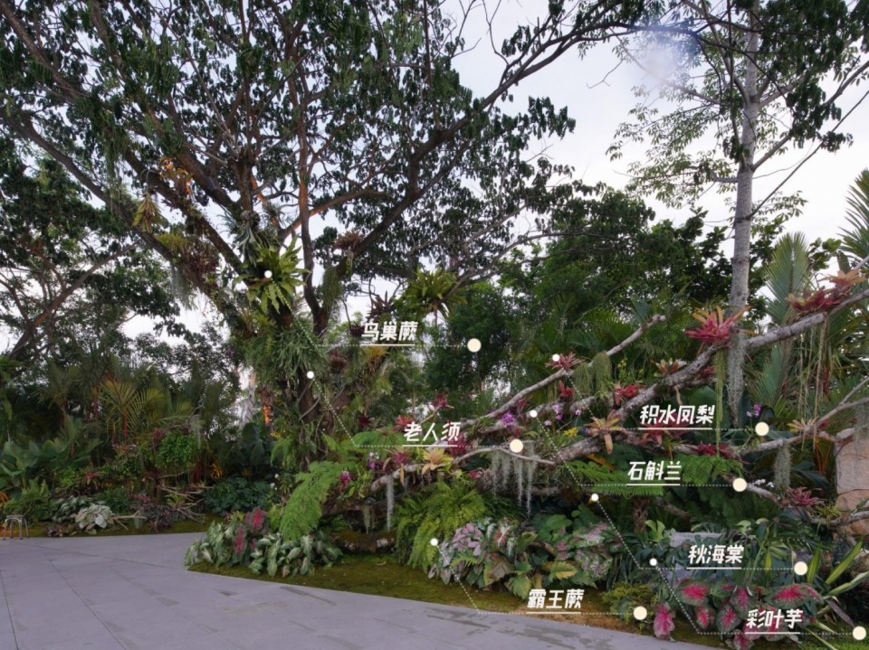 Ecological Construction of the Broad leaved Shallow Stream Section in Sanya Haitang River Ecological Park by LOLA Landscape Architecture...