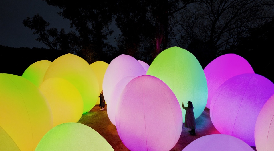 forest of autonomous resonating life by teamlab