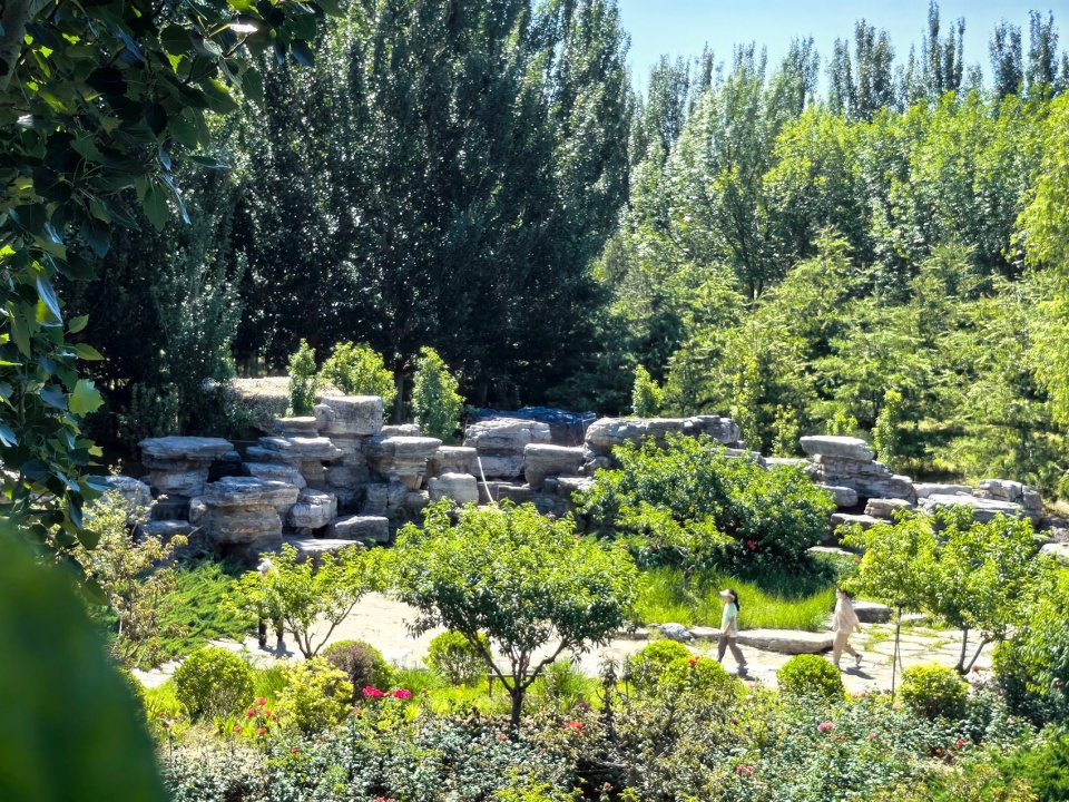 Construction of Beijing Chaolai Forest Park Phase III by DDON