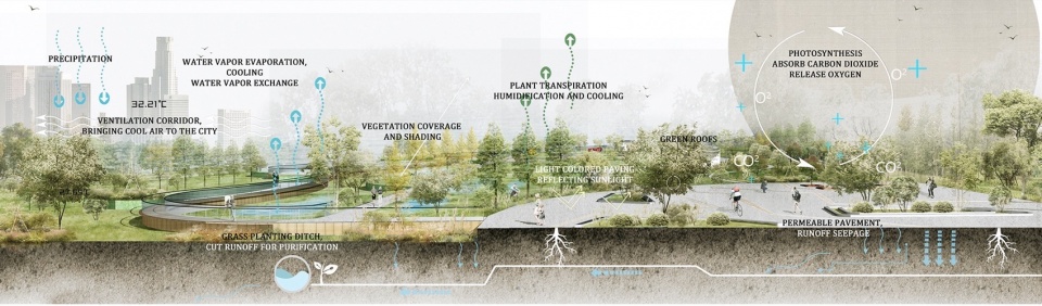 Construction of Beijing Chaolai Forest Park Phase III by DDON