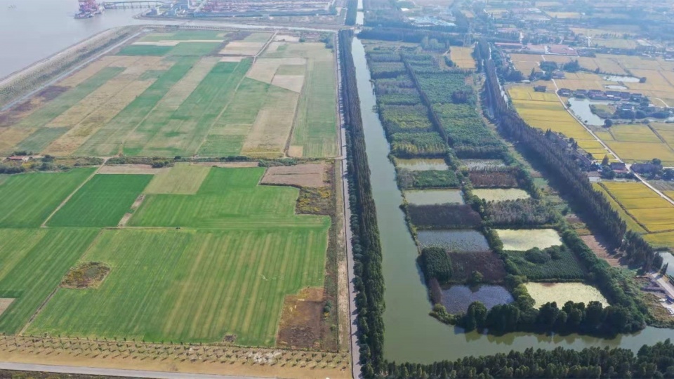 Dongliang Xuan