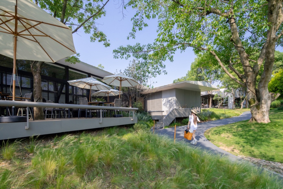 WX Building Design on CPI Island Luhu Lake by Palimpsest