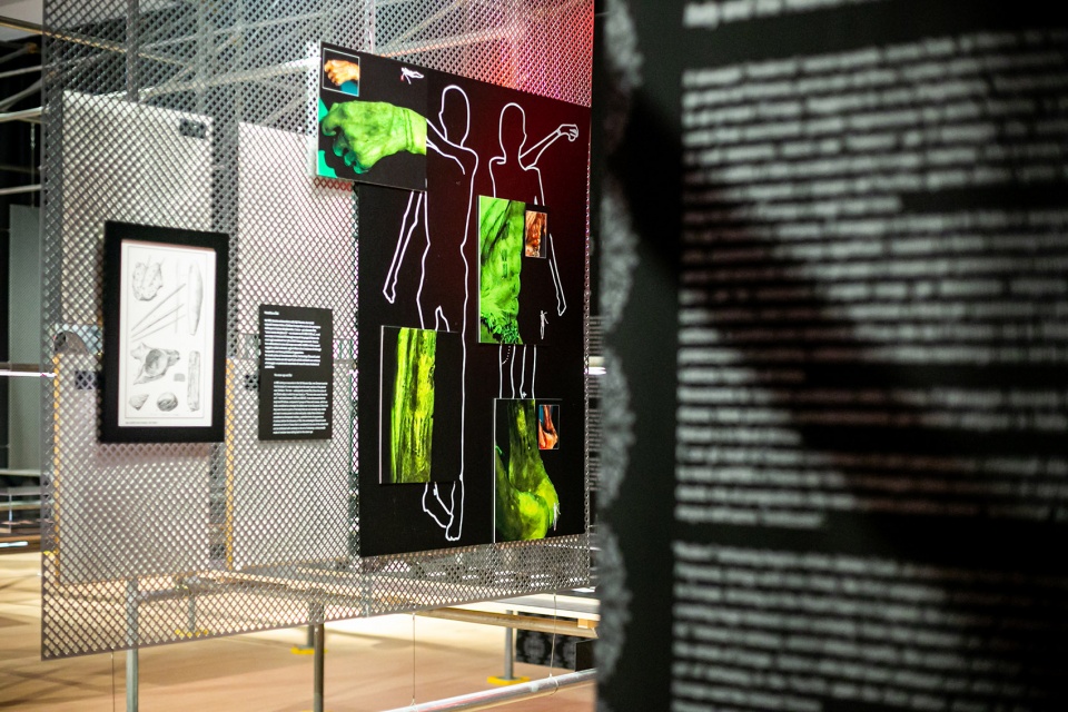 tattoo stories on the skin by 120 grammi laboratorio di architettura