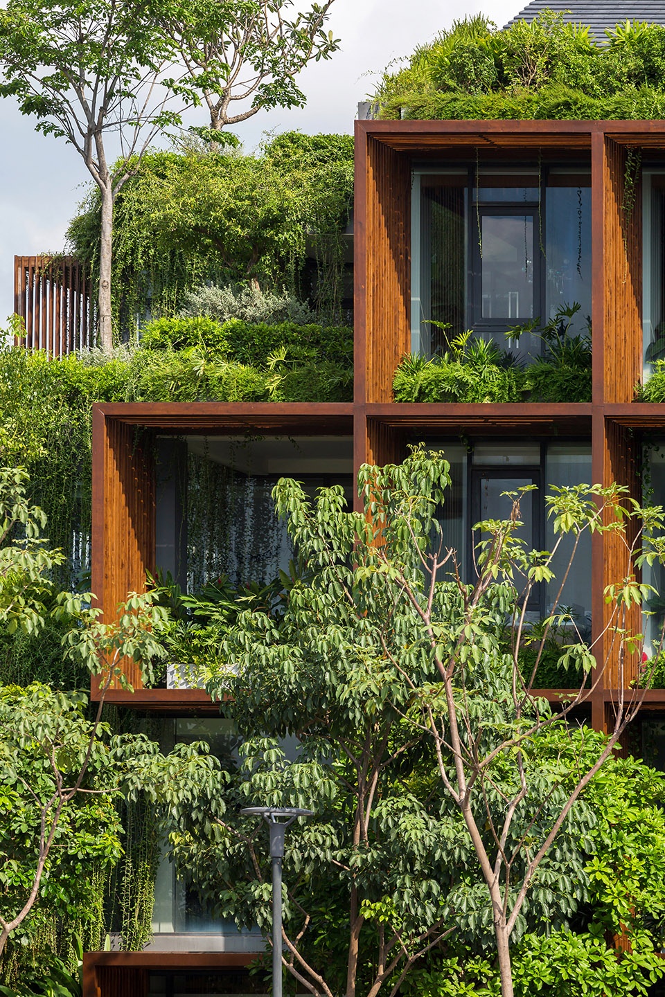 tony fruit office by taa design