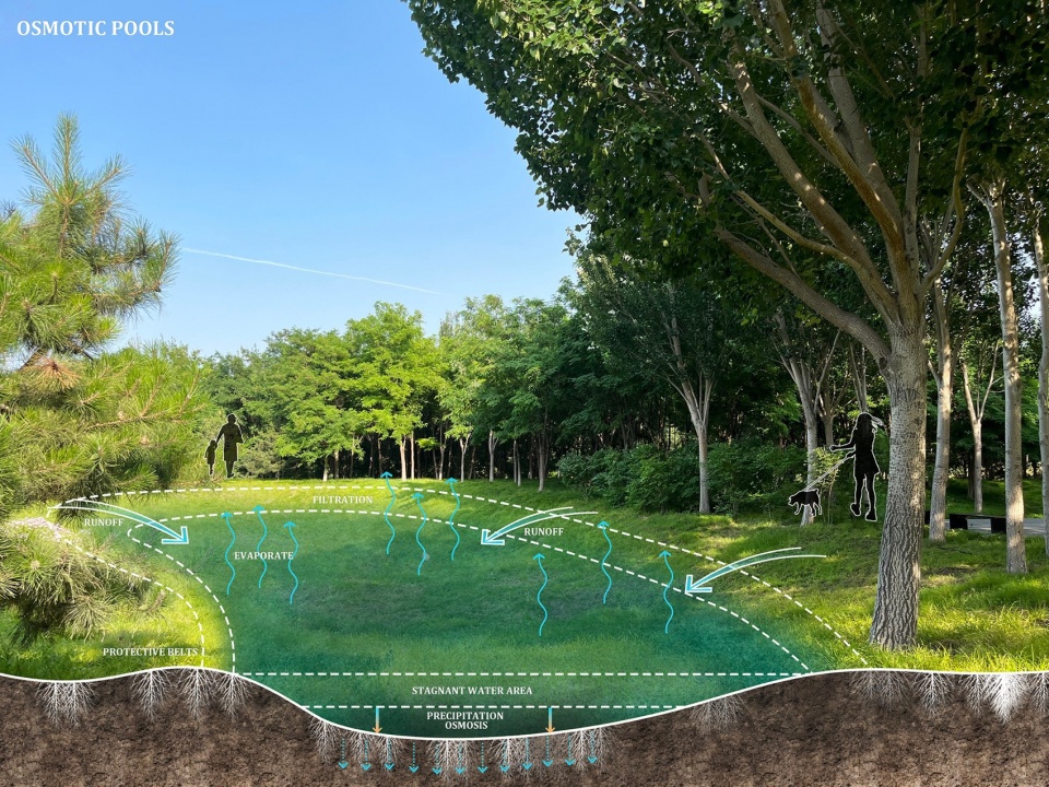 Construction of Beijing Chaolai Forest Park Phase III by DDON