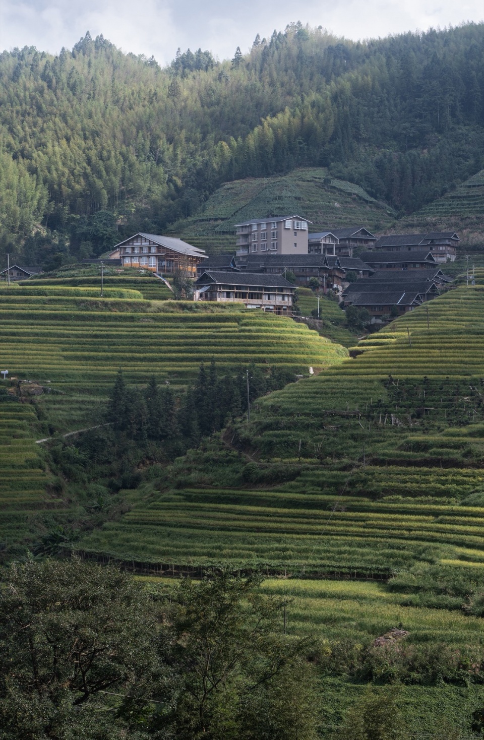 Mahai Village Cultural Center by C J Studio Atelier Jian Jia