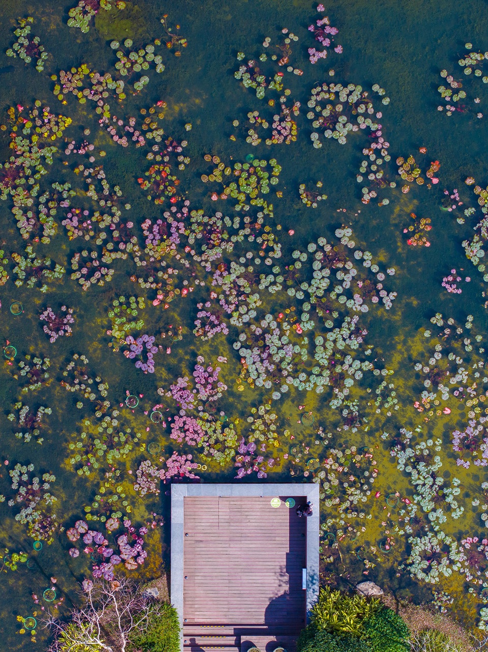 comprehensive landscape design for guangzhou yunxi botanical gardens environmental enhancement project by aecom