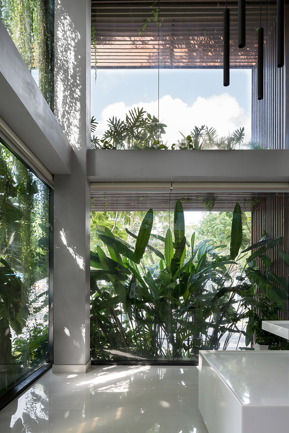tony fruit office by taa design