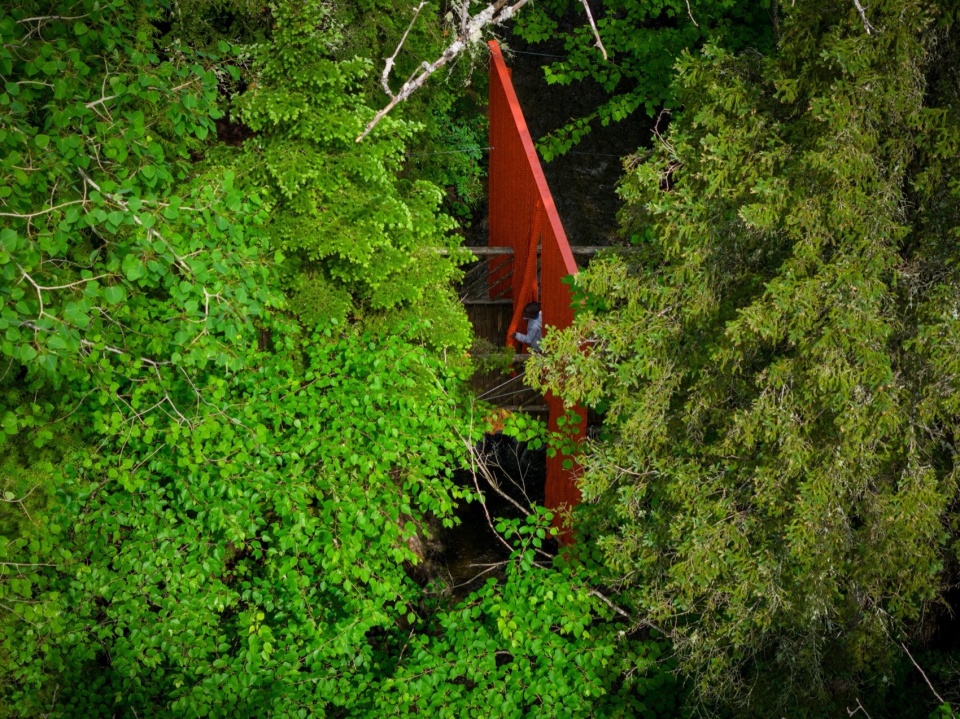 26th International Garden Festival