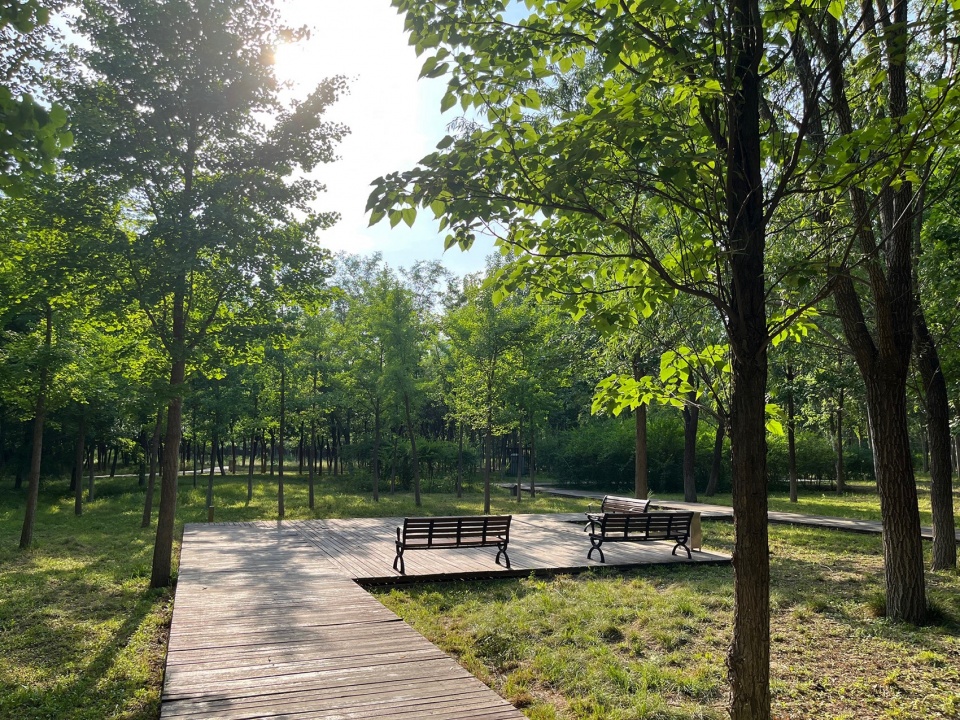 Construction of Beijing Chaolai Forest Park Phase III by DDON