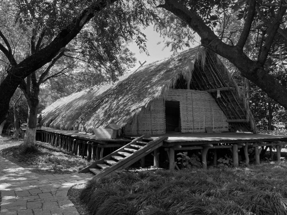Dongliang Xuan