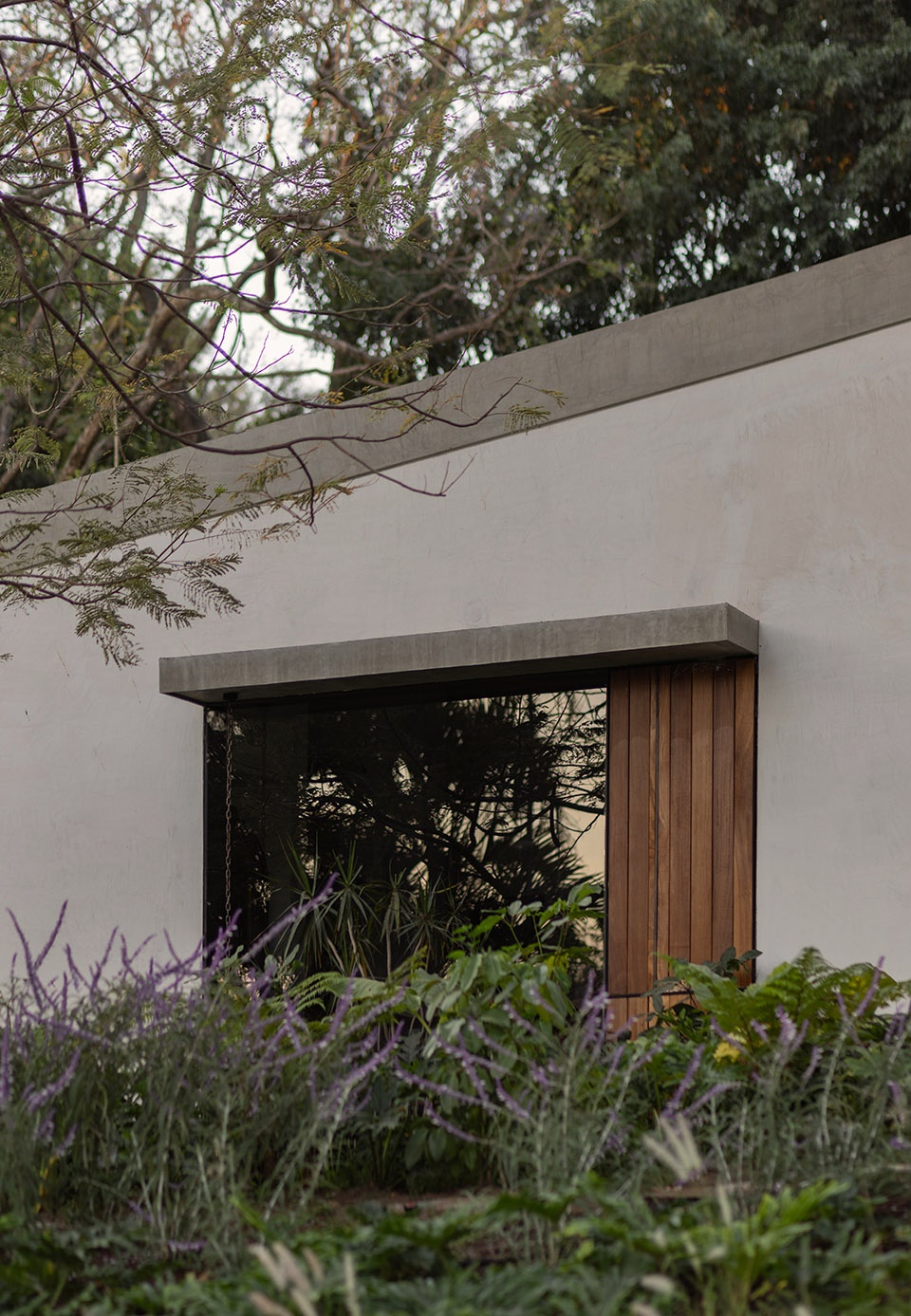 malvas 59 by estudio radillo alba