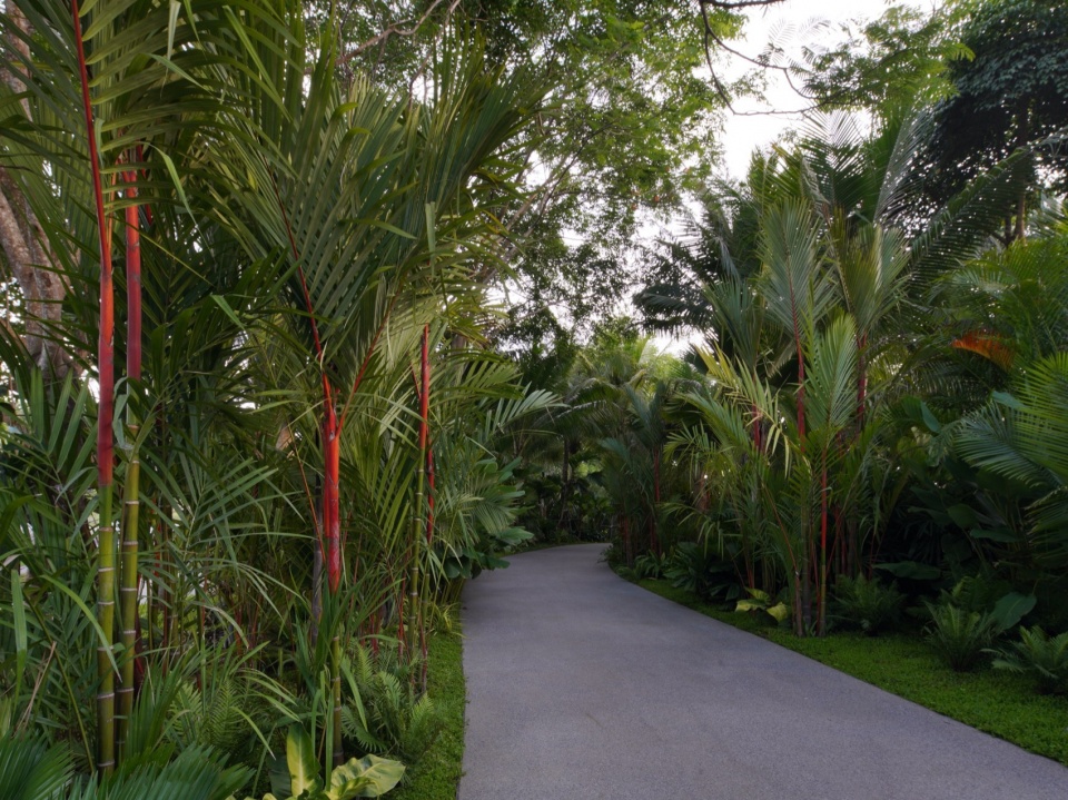 Ecological Construction of the Broad leaved Shallow Stream Section in Sanya Haitang River Ecological Park by LOLA Landscape Architecture...