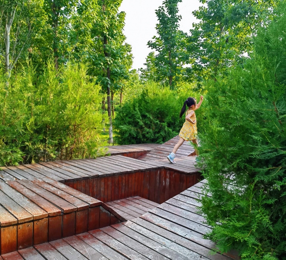 Construction of Beijing Chaolai Forest Park Phase III by DDON