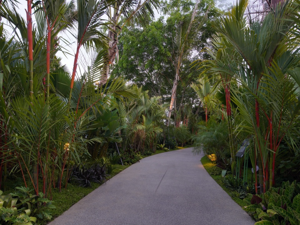 Ecological Construction of the Broad leaved Shallow Stream Section in Sanya Haitang River Ecological Park by LOLA Landscape Architecture...