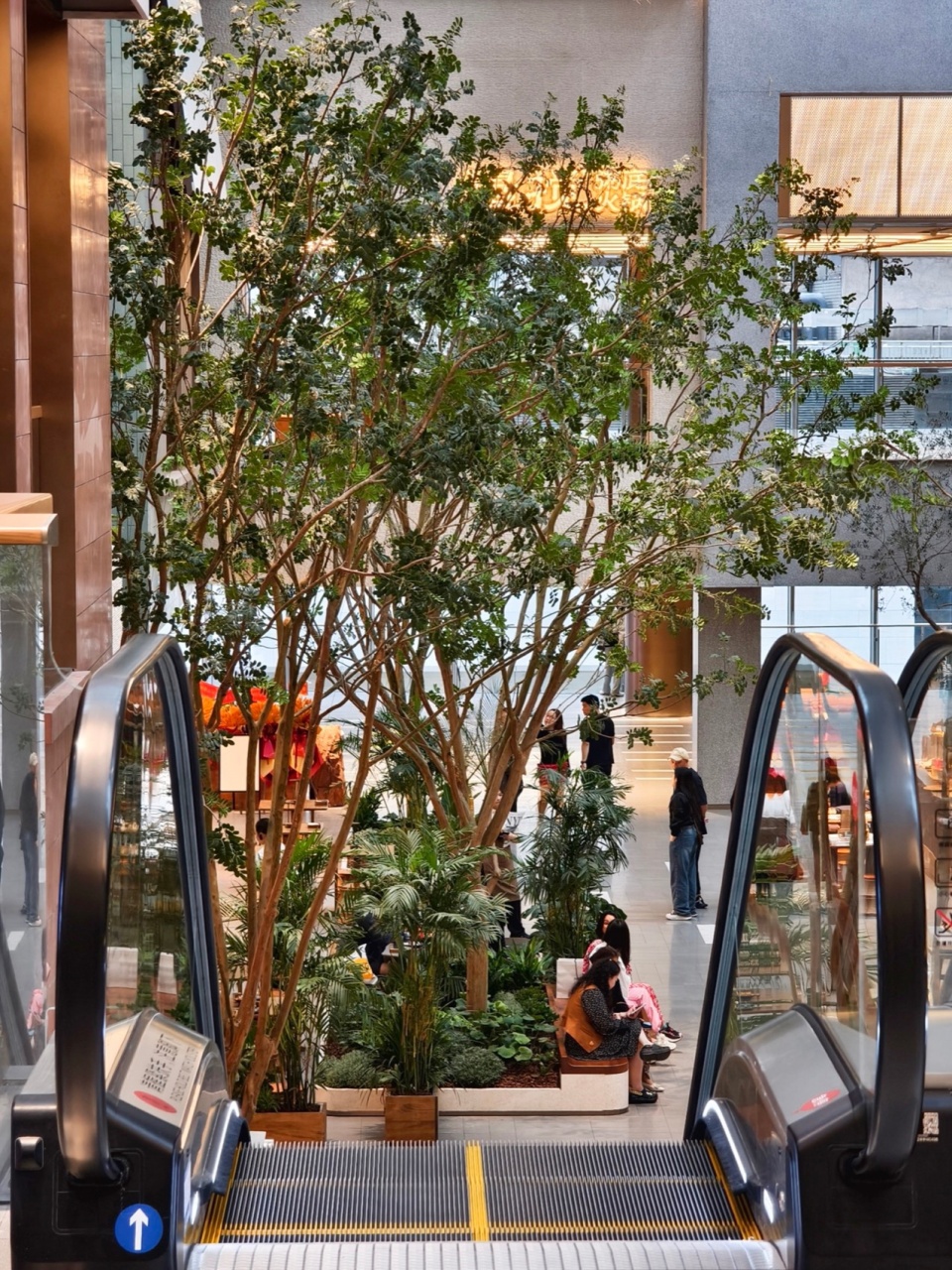 Indoor Landscape Design at Longfor Paradise Walk