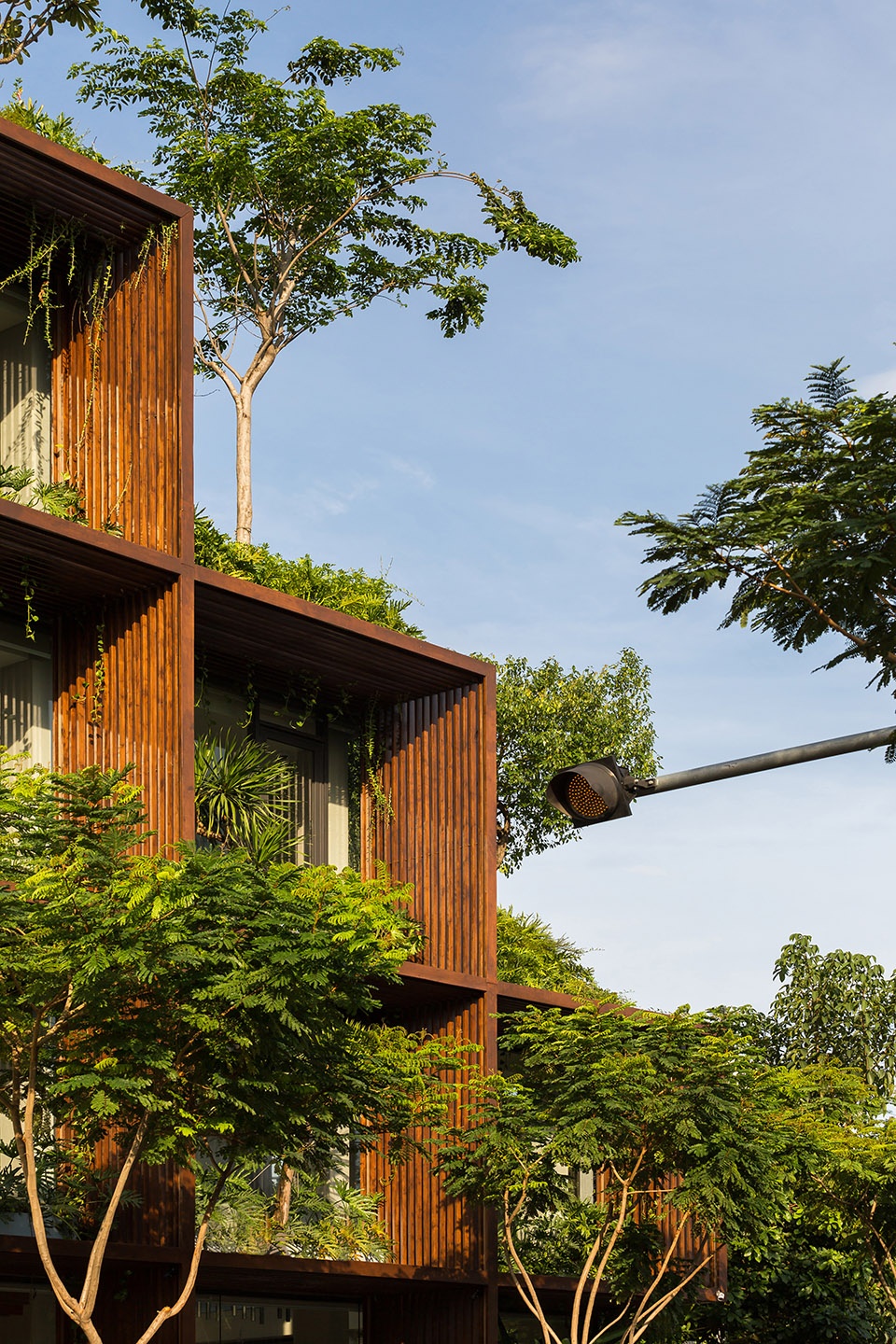 tony fruit office by taa design