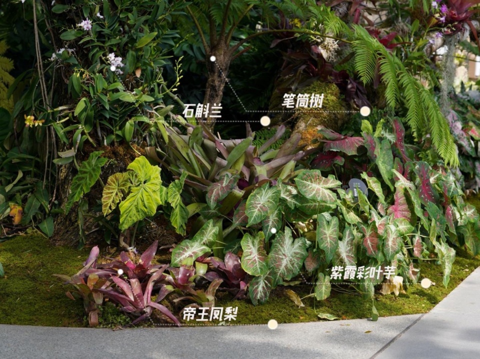 Ecological Construction of the Broad leaved Shallow Stream Section in Sanya Haitang River Ecological Park by LOLA Landscape Architecture...