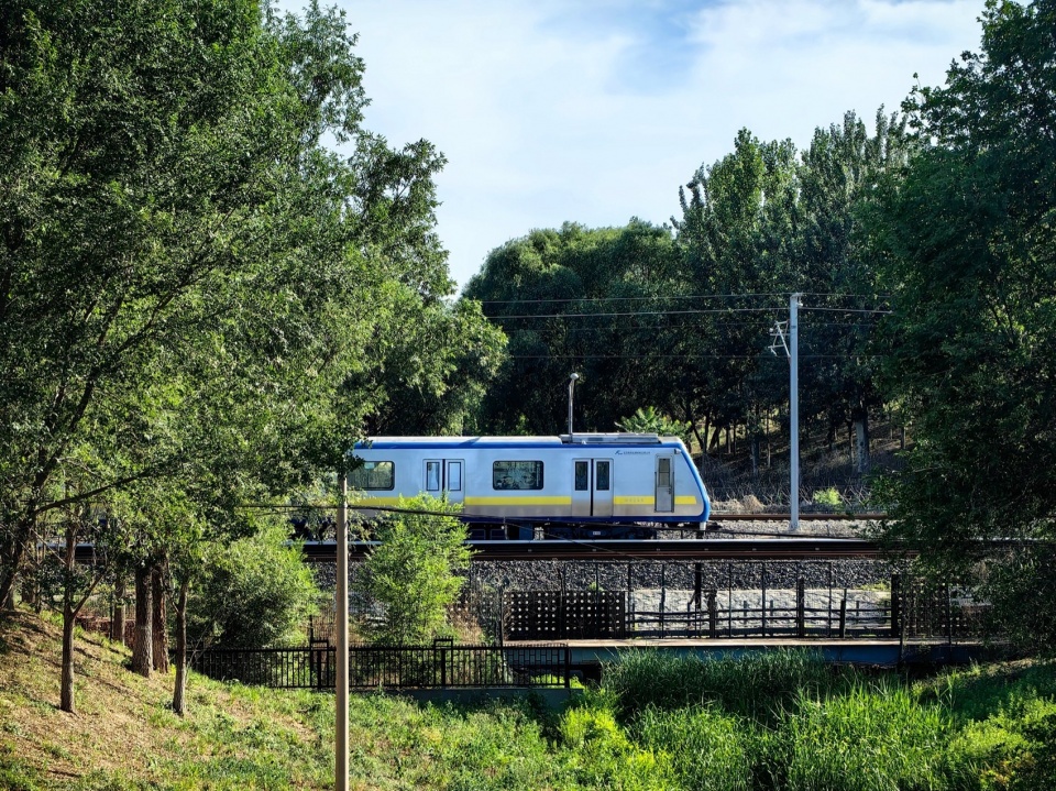 Construction of Beijing Chaolai Forest Park Phase III by DDON