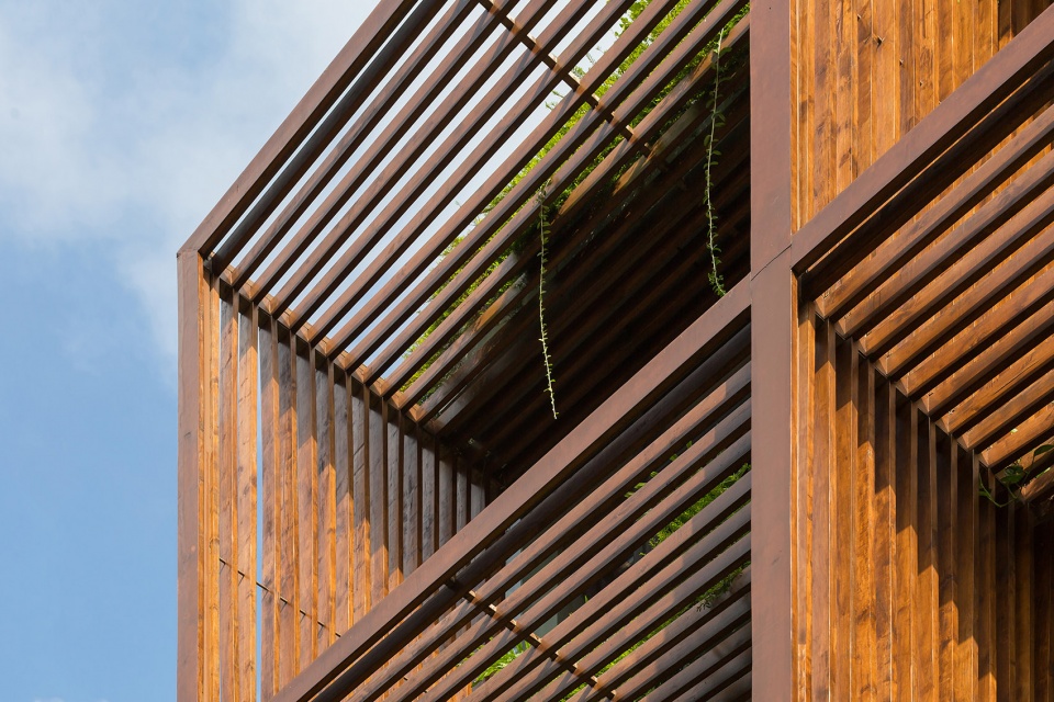 tony fruit office by taa design