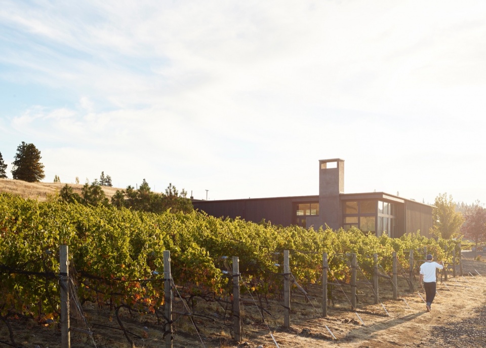 COR Cellars by GO C
