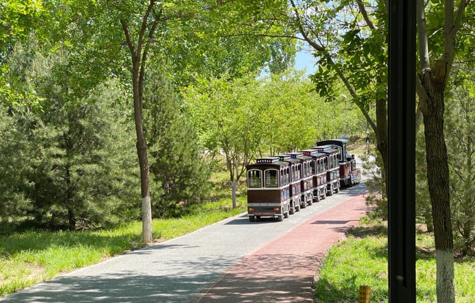 Construction of Beijing Chaolai Forest Park Phase III by DDON