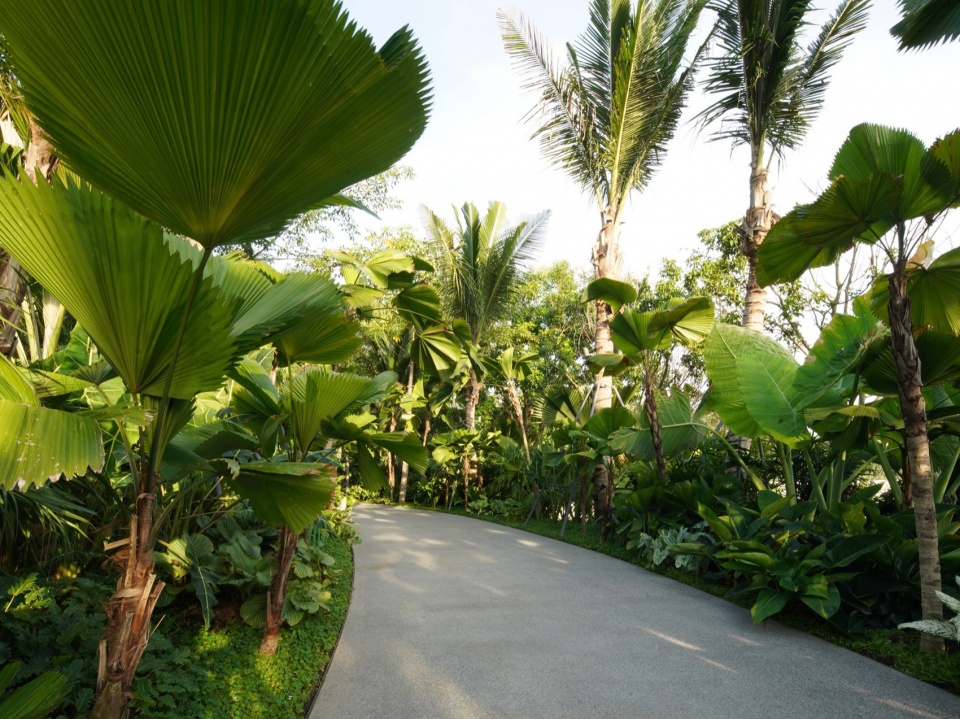 Ecological Construction of the Broad leaved Shallow Stream Section in Sanya Haitang River Ecological Park by LOLA Landscape Architecture...