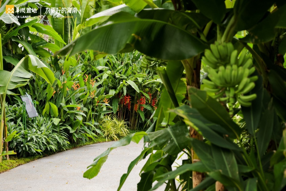 Landscape Design of Haitang River Ecological Park Phase II by LOLA Landscape Architects