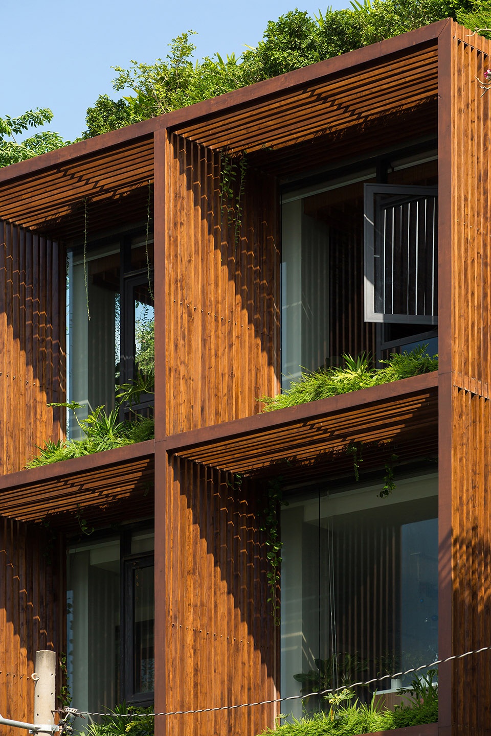 tony fruit office by taa design