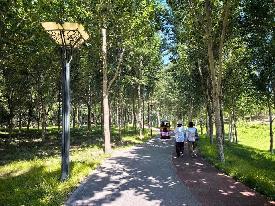 Construction of Beijing Chaolai Forest Park Phase III by DDON