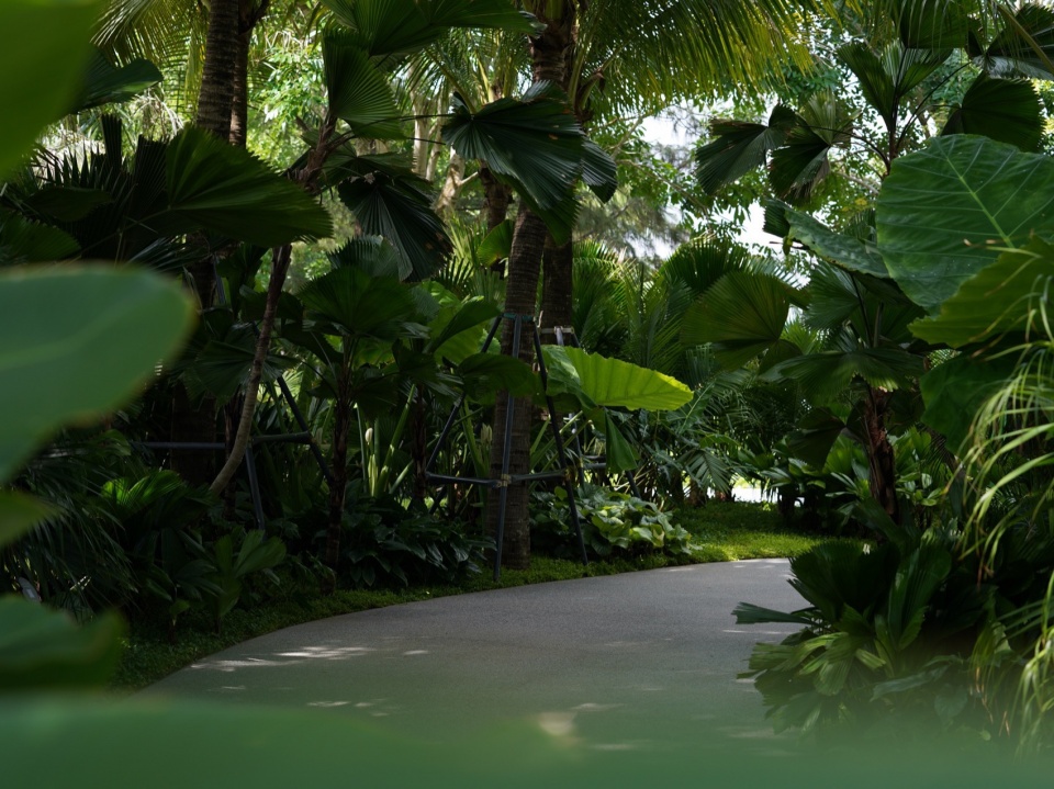 Ecological Construction of the Broad leaved Shallow Stream Section in Sanya Haitang River Ecological Park by LOLA Landscape Architecture...