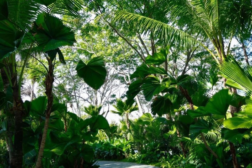 Landscape Design of Haitang River Ecological Park Phase II by LOLA Landscape Architects