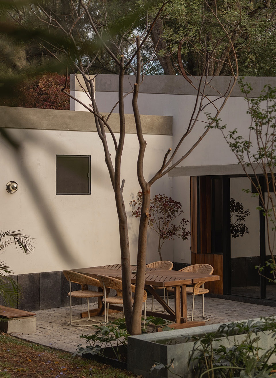 malvas 59 by estudio radillo alba