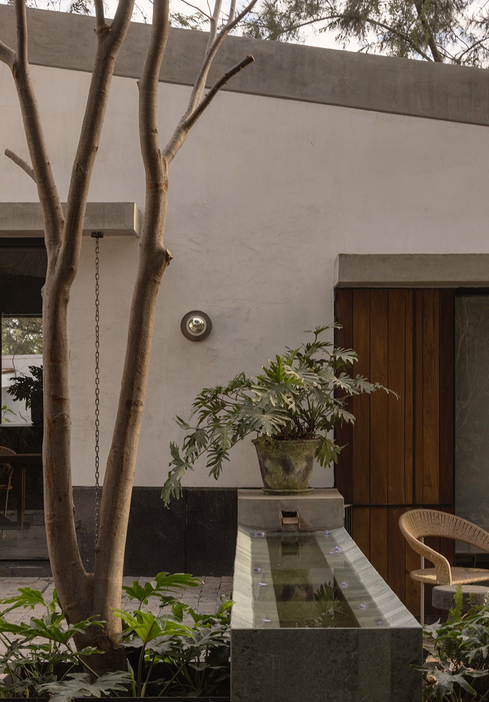 malvas 59 by estudio radillo alba