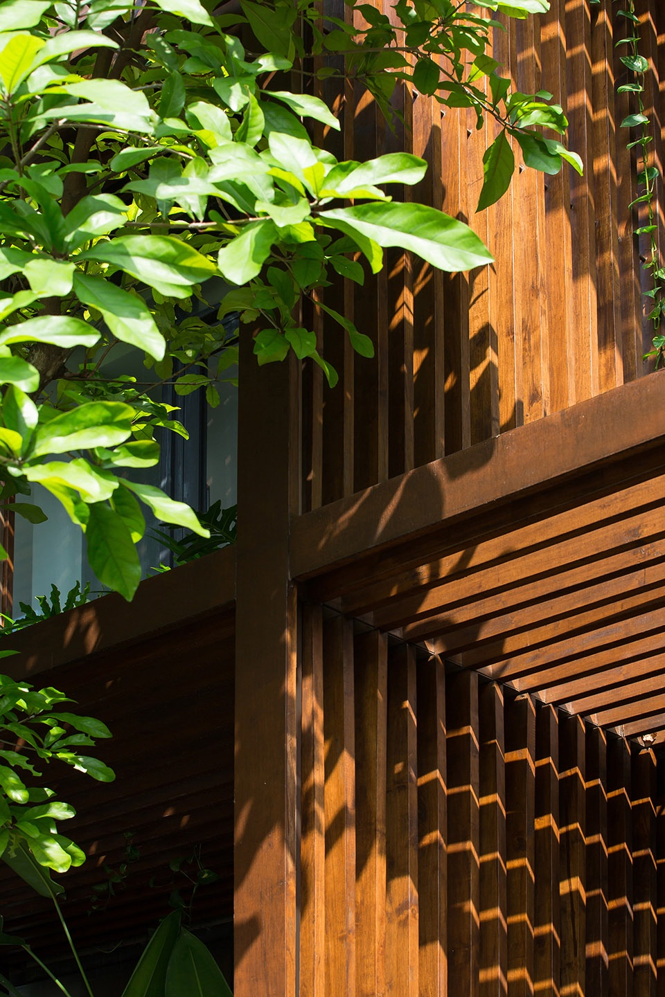 tony fruit office by taa design