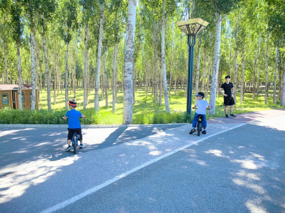 Construction of Beijing Chaolai Forest Park Phase III by DDON
