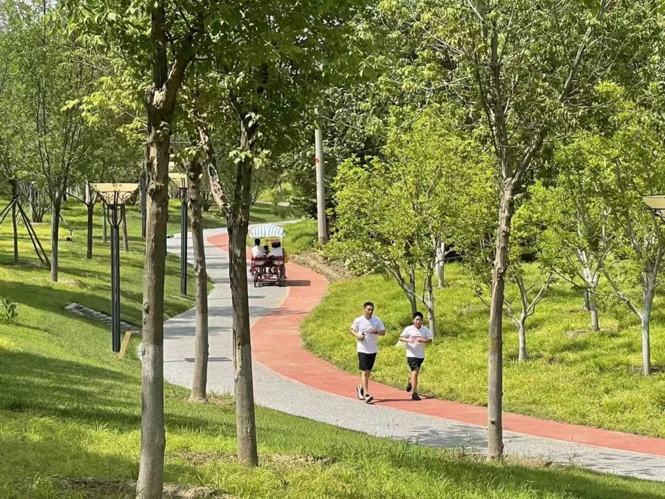Construction of Beijing Chaolai Forest Park Phase III by DDON