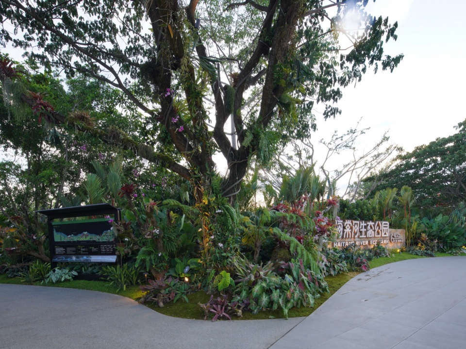 Ecological Construction of the Broad leaved Shallow Stream Section in Sanya Haitang River Ecological Park by LOLA Landscape Architecture...