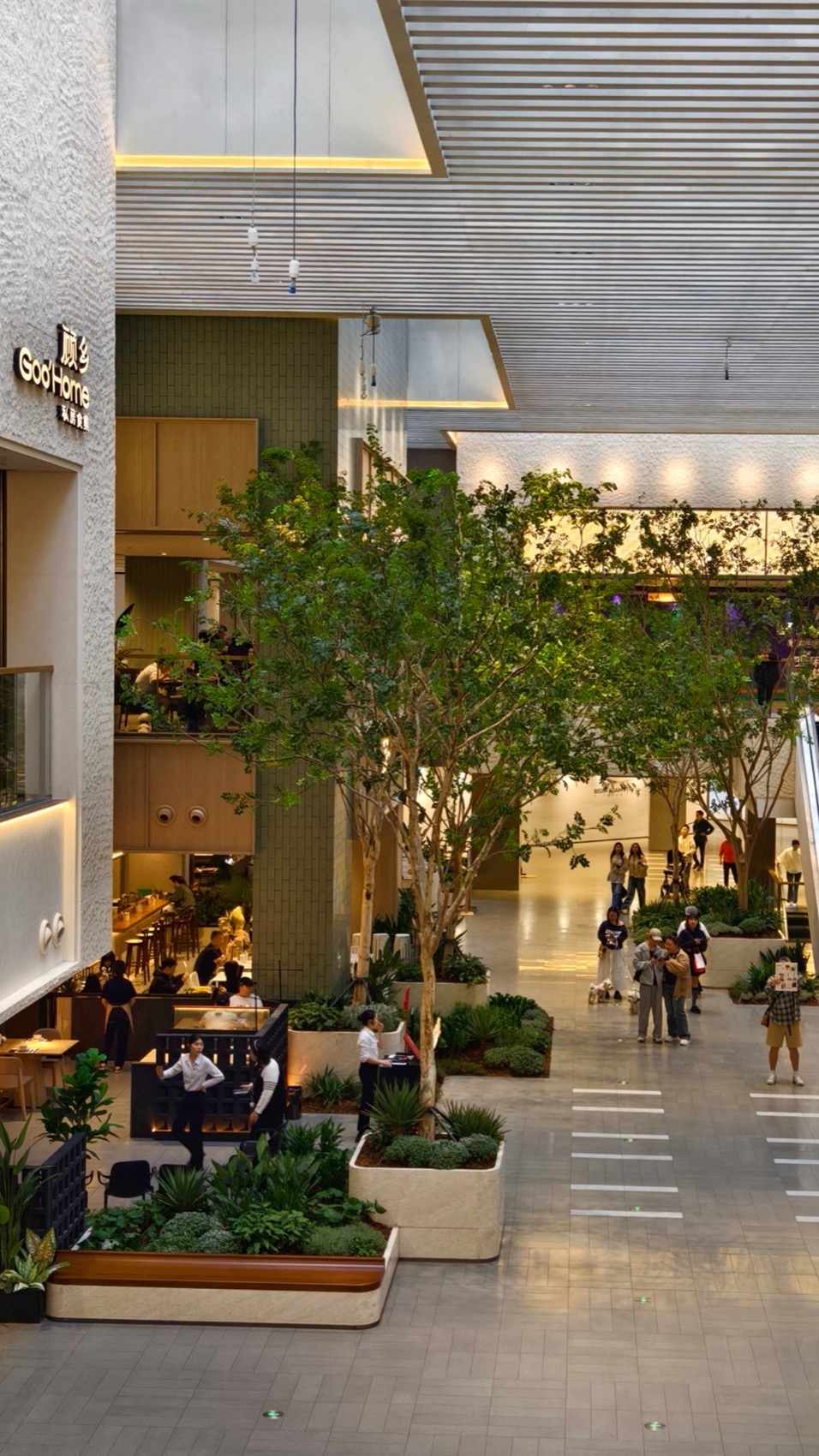 Indoor Landscape Design at Longfor Paradise Walk