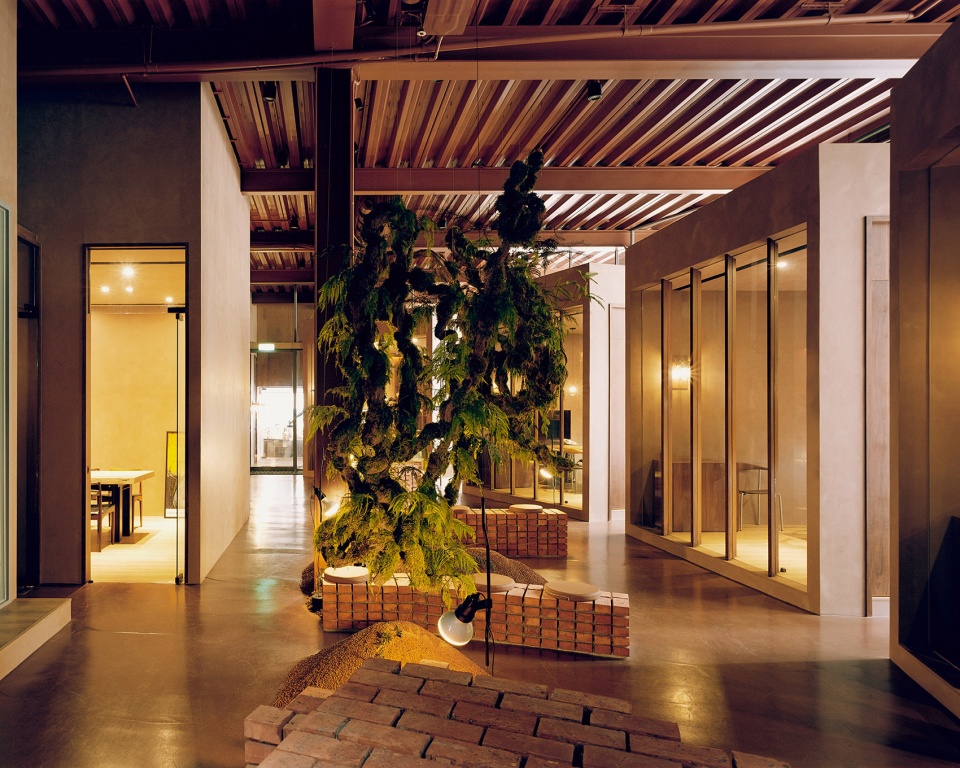 apricity development brand headquarters by soar design studio ray architects