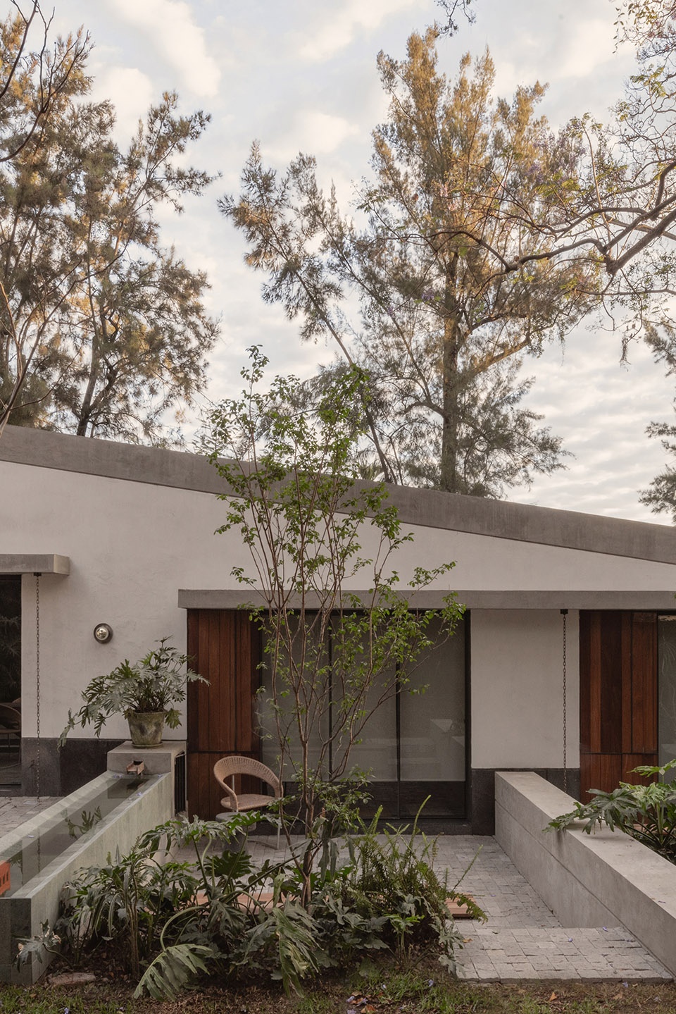 malvas 59 by estudio radillo alba