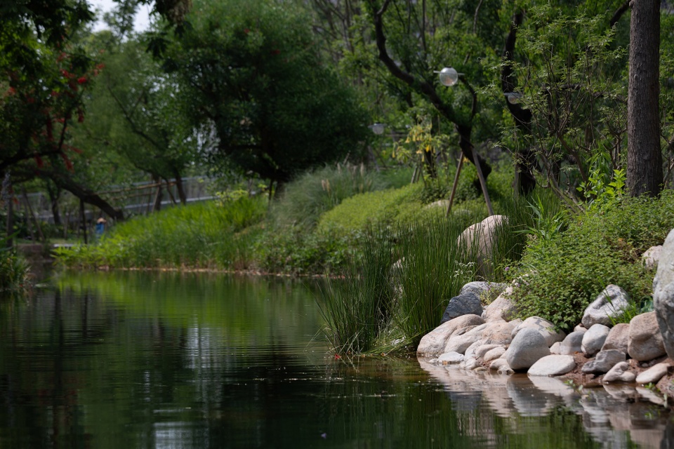 paddleboat park chengdu luxelake eco city by wtd group