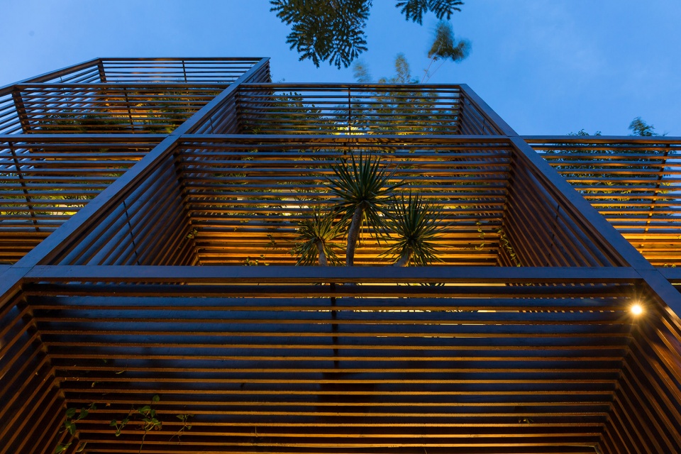 tony fruit office by taa design