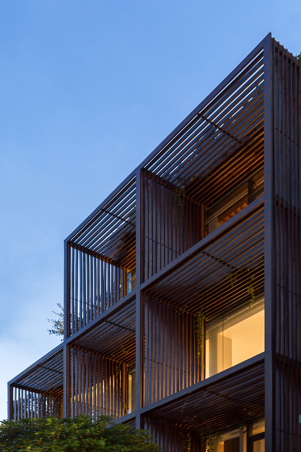 tony fruit office by taa design