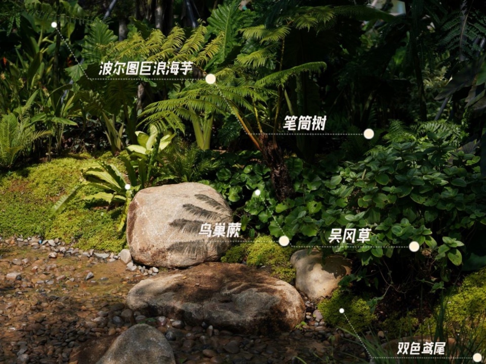 Ecological Construction of the Broad leaved Shallow Stream Section in Sanya Haitang River Ecological Park by LOLA Landscape Architecture...
