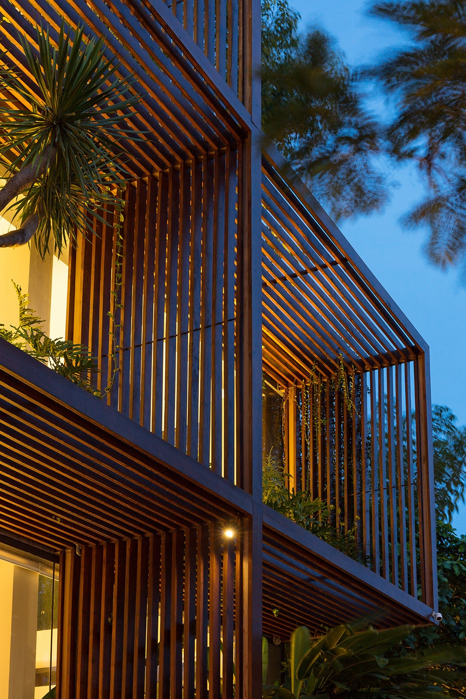 tony fruit office by taa design