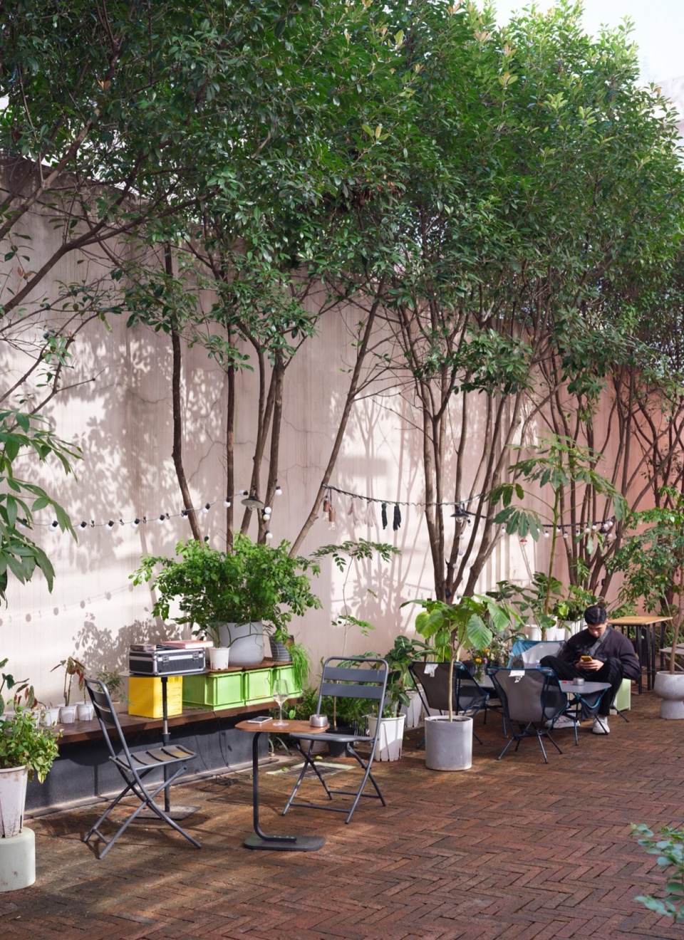 Paddy Lab by BE DESIGN CONSULTANCY 959